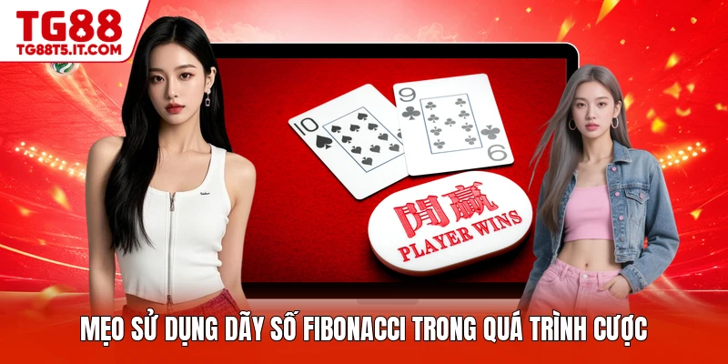 Mẹo sử dụng dãy số Fibonacci trong quá trình cược