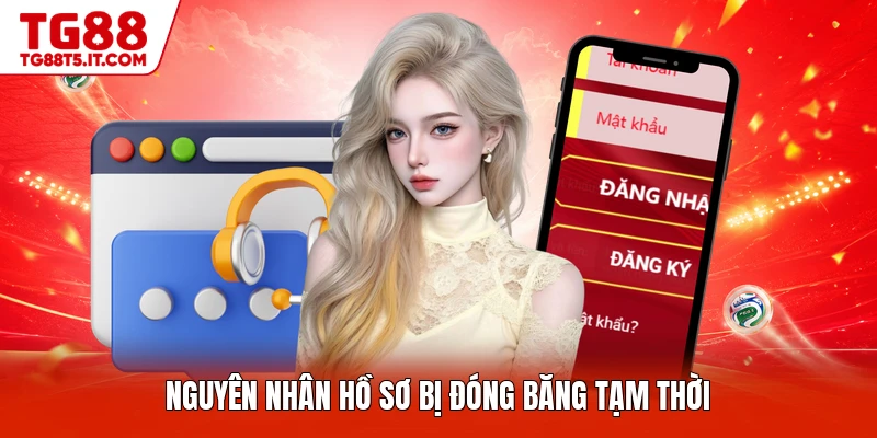 Nguyên nhân hồ sơ bị đóng băng tạm thời